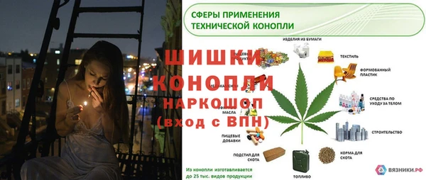 шишки Армянск