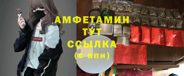 шишки Армянск
