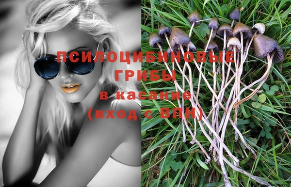 сатива Арсеньев