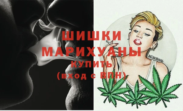 шишки Армянск