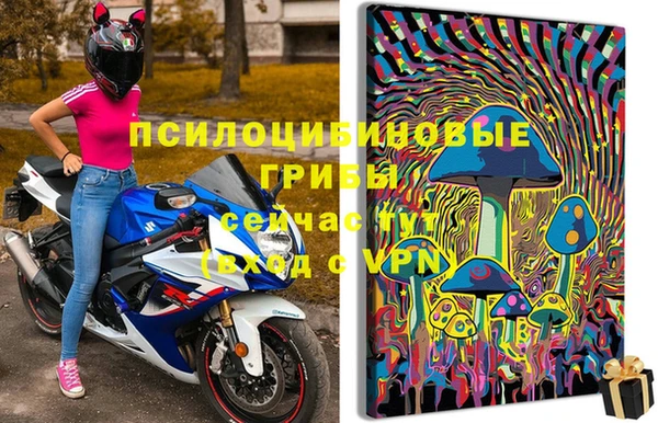 молекула духа Аркадак