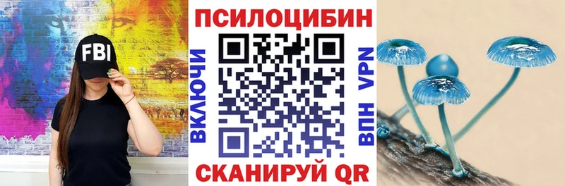 Купить закладки  Барабинск  Галлюциногенные грибы Cubensis 